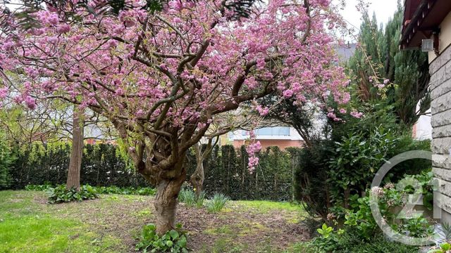 maison à vendre - 6 pièces - 133.0 m2 - BONSECOURS - 76 - HAUTE-NORMANDIE - Century 21 Thillard Et Duhamel